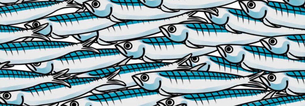 Grazie, sardine: com'è profondo il mare