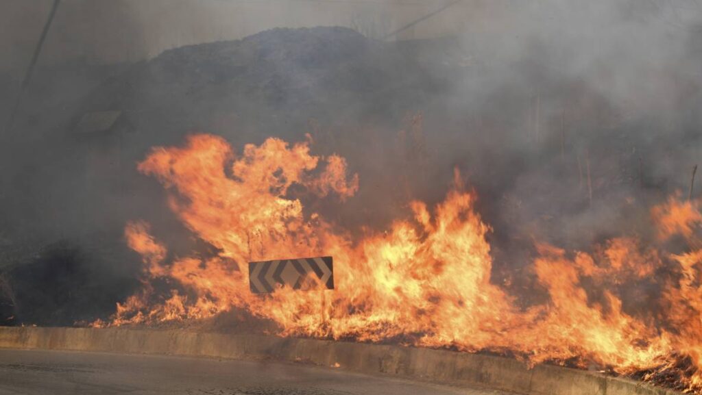 Sergio Caserta: Incendi. Il Sud brucia nella totale impotenza e assenza dello Stato